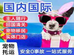 惠州平潭航空运输国际宠物托运 【国
